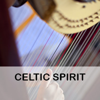 Celtic Spirit, Corporate ideas, Dial M For Music, Entertainment Wexford, Dublin Ireland